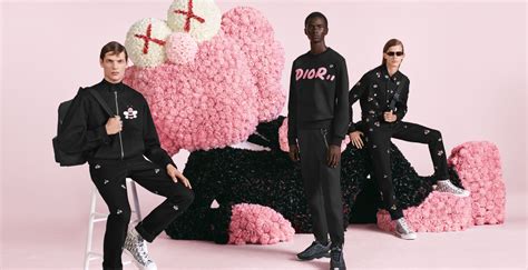 dior and kaws|kaws dior reddit.